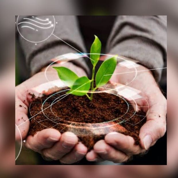 Gestão Socioambiental Sustentável